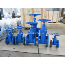 Rubber Sealing Gate Valve (DIN)